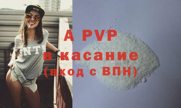 индика Балахна