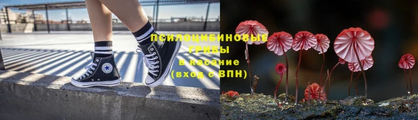 индика Балахна