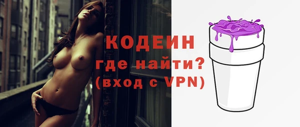 индика Балахна