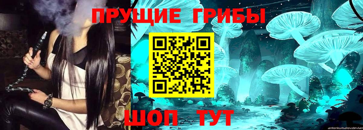 Псилоцибиновые грибы GOLDEN TEACHER Новый Уренгой