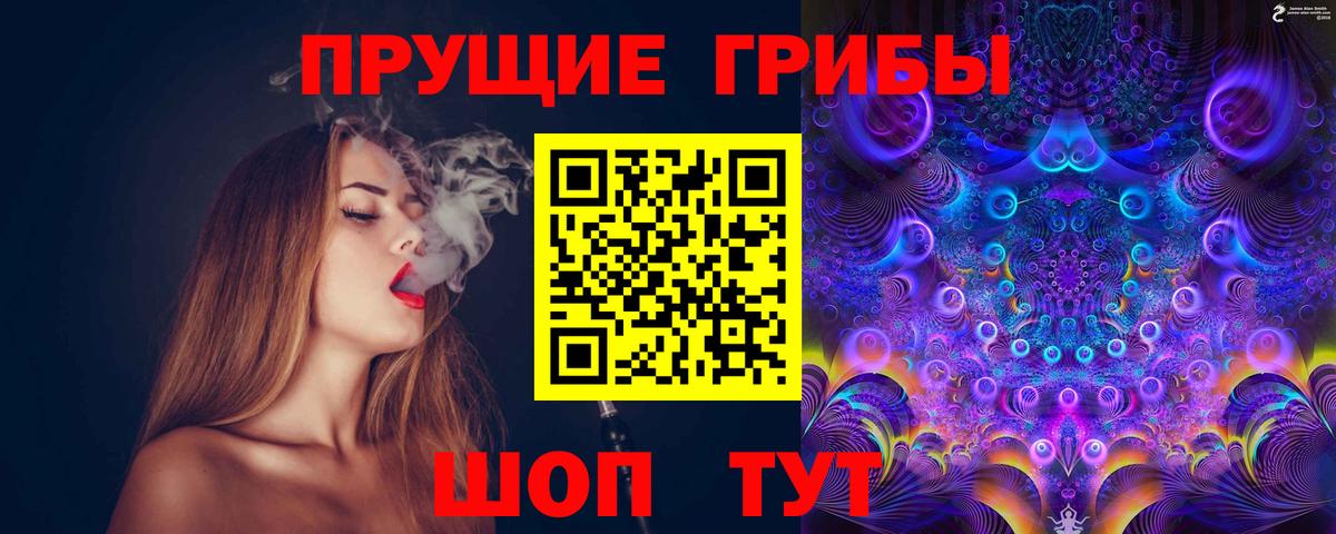 купить закладку  Вход с VPN  Новый Уренгой  Псилоцибиновые грибы мицелий 